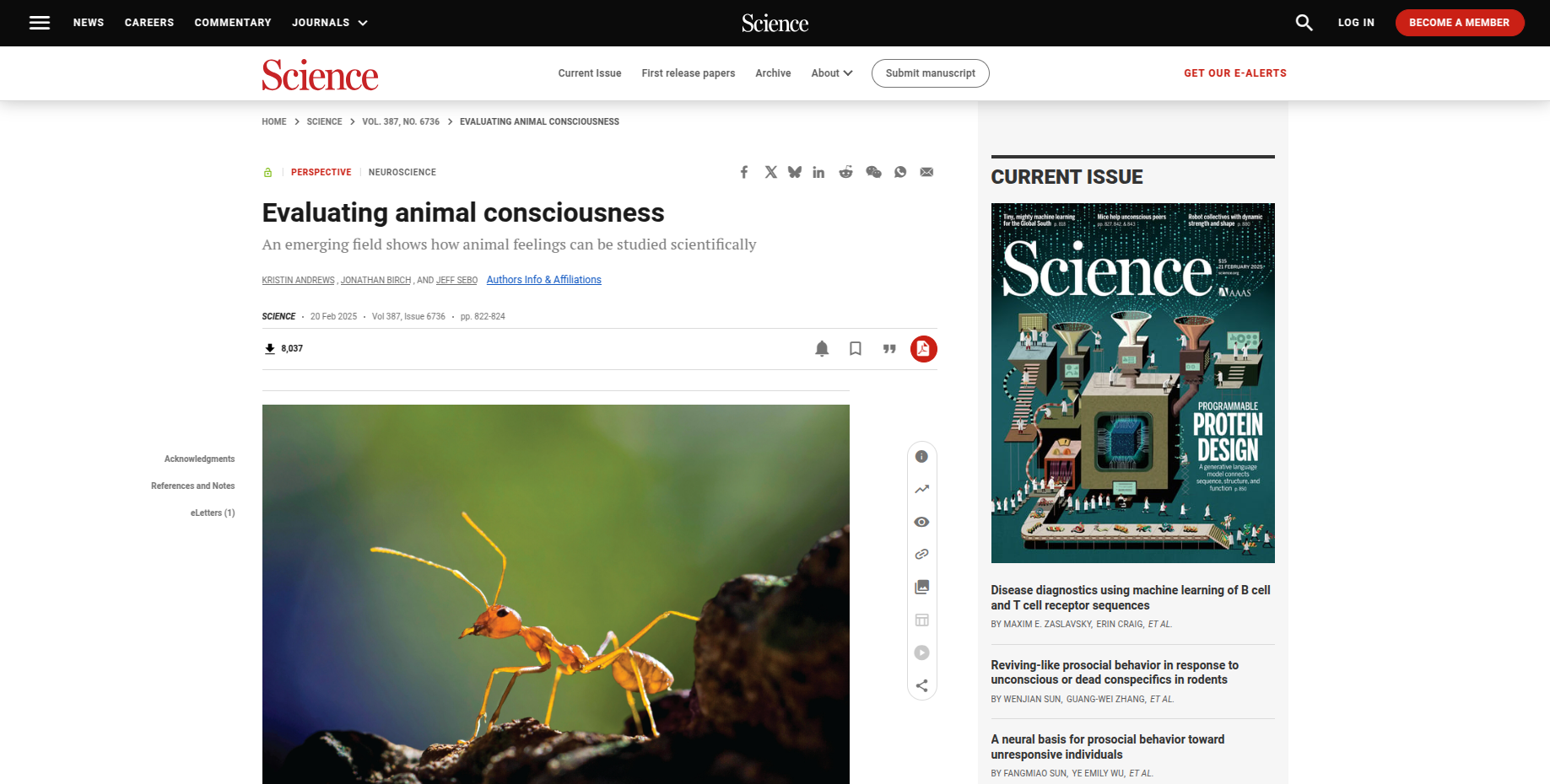 Designing scientific articles